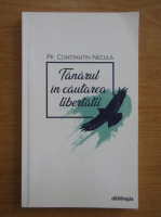 Constantin Necula - Tanarul in cautarea libertatii