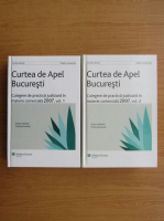 Dan Lupascu - Curtea de apel Bucuresti (2 volume)