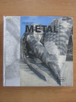 Dirk Meyhofer - Magic metal. Buildings of steel, aluminium, copper and tin