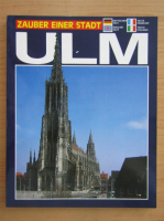 Anticariat: Ulm. Zauber einer stadt