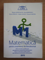 Marian Andronache - Matematica pentru examenul de bacalaureat
