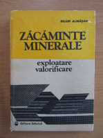 Bujor Almasan - Zacaminte minerale. Exploatare, valorificare