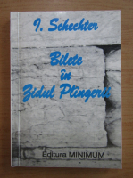 I. Schechter - Bilete in zidul plangerii