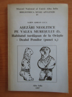 Sabin Adrian Luca - Asezari neolitice pe Valea Muresului (volumul 1)