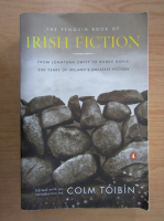 The Penguin book of irish fiction