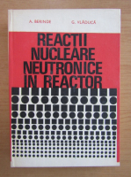 A. Berinde - Reactii nucleare neutronice in reactor