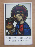 Michael Stettler - Old stained glass in Switzerland