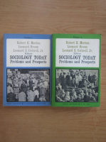 Robert K. Merton - Sociology today. Problem and prospects (2 volume)