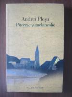 Andrei Plesu - Pitoresc si melancolie