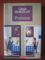 Gabriela Adamesteanu - Provizorat