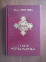 Iosif Trifa - Ce este oastea Domnului