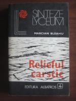 Marcian Bleahu - Relieful carstic