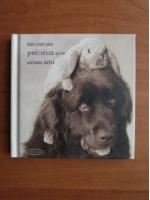 Rien n`est plus precieux qu`un veritable ami