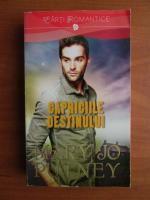 Mary Jo Putney - Capriciile destinului