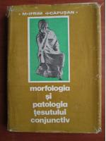 M. Ifrim, I. Capusan - Morfologia si patologia tesutului conjunctiv