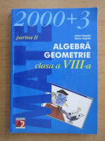 Anticariat: Anton Negrila - Algebra, geometrie. Clasa a VIII-a, partea II