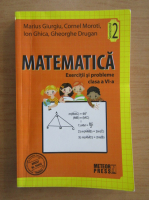 Marius Giurgiu - Matematica. Exercitii si probleme. Clasa a VI-a