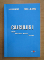 Paul Flondor - Calculus 1. Theory, worked out examples, exercises