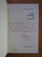 Petru Popescu - Intre Socrate si Xantipa (cu autograful autorului)