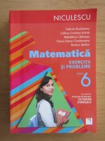 Valeria Buduianu - Matematica. Exercitii si probleme. Clasa a VI-a