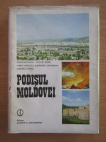 Vasile Bacauanu - Podisul Moldovei