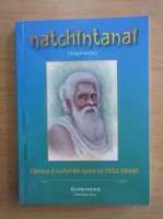 Yoga Swami - Natchintanai