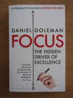 Daniel Goleman - Focus. The Hidden Driver of Excellence