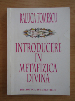 Raluca Tomescu - Introducere in metafizica divina