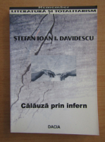 Anticariat: Stefan Ioan I. Davidescu - Calauza prin infern