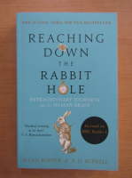 Allan H. Ropper - Reaching down the rabbit hole