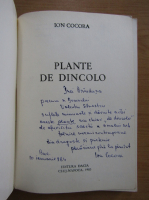 Ion Cocora - Plante de dincolo (cu autograful autorului)