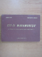 Isidor Ripa - Cat-ii Maramuresu'