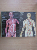 M. Prives - Human Anatomy (2 volume)