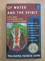Malidoma Patrice Some - Of water and the spirit