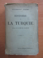 Youssouf Fehmi - Histoire de la Turquie