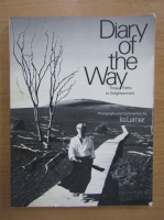 Ira Lerner - Diary of the Way