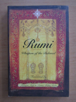 Maryam Mafi - Rumi. Whispers of the Beloved