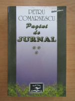 Petru Comarnescu - Pagini de jurnal (volumul 3)