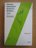 Emil Brumaru - Povestea boiernasului de tara si a fecioarei...