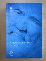 Michelangelo Buonarroti - Scrisori
