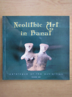 Neolithic Art in Banat