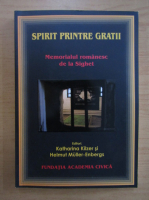 Anticariat: Spirit printre gratii. Memorialul romanesc de la Sighet