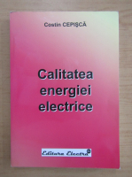 Costin Cepisca - Calitatea energiei electrice