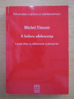Michel Vincent - A indura adolescenta