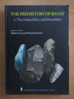 The Prehistory of Banat. The Palaeolithic and Mesolithic