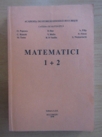 Constantin Raischi - Matematici 