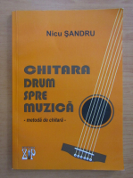 Nicu Sandru - Chitara, drum spre muzica