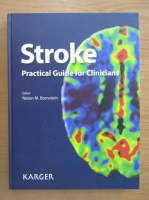 Stroke. Practical Guide for Clinicians