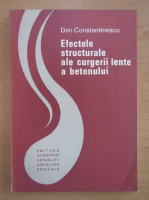 Dan Constantinescu - Efectele structurale ale curgerii lente a betonului