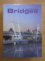 Martha Torres Arcila - Bridges